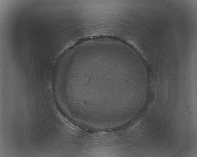 X0000067850681200604201308