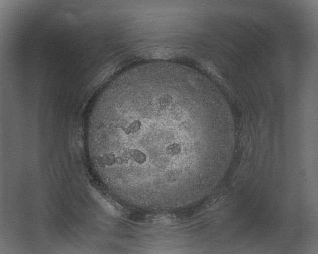 X0000067850683200604201308