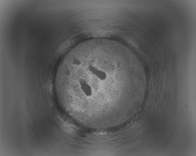 X0000067850687200604201308