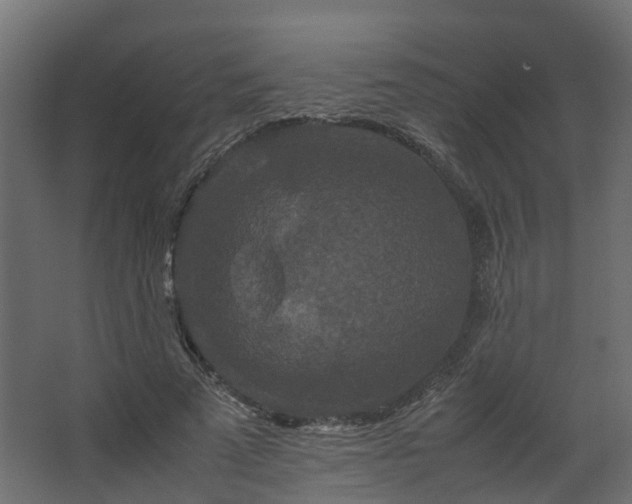 X0000067850689200604201308