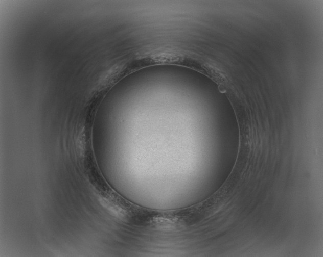 X0000067850690200604201308