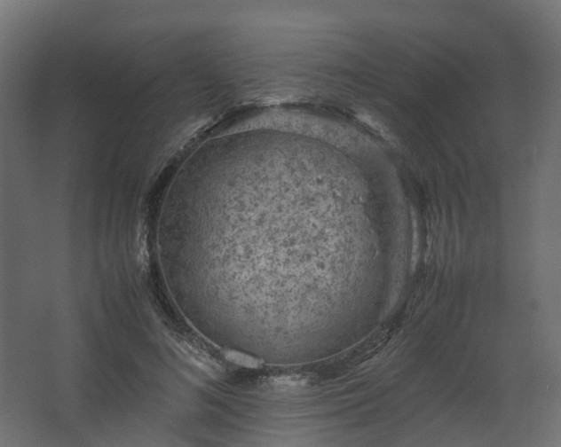 X0000067850692200604201308