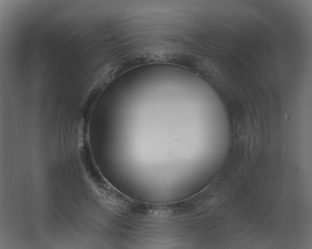 X0000067850694200604201308