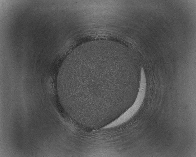 X0000067850695200604201308