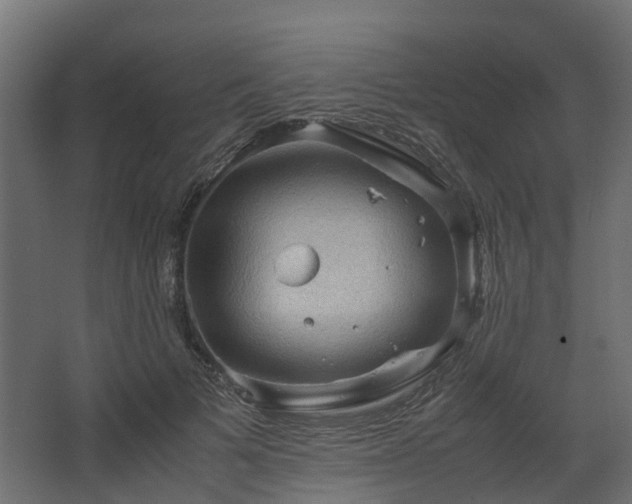 X0000067850697200604201308