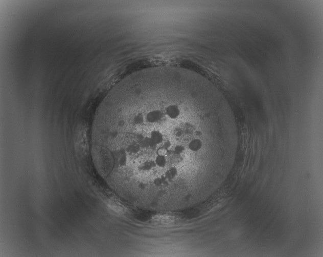 X0000067850699200604201308