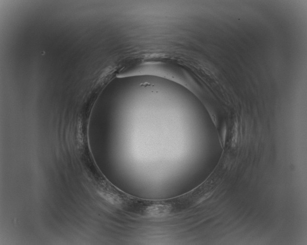 X0000067850700200604201308