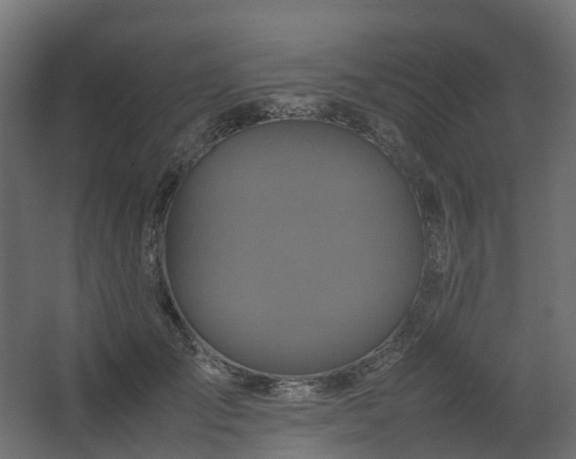 X0000067850701200604201308