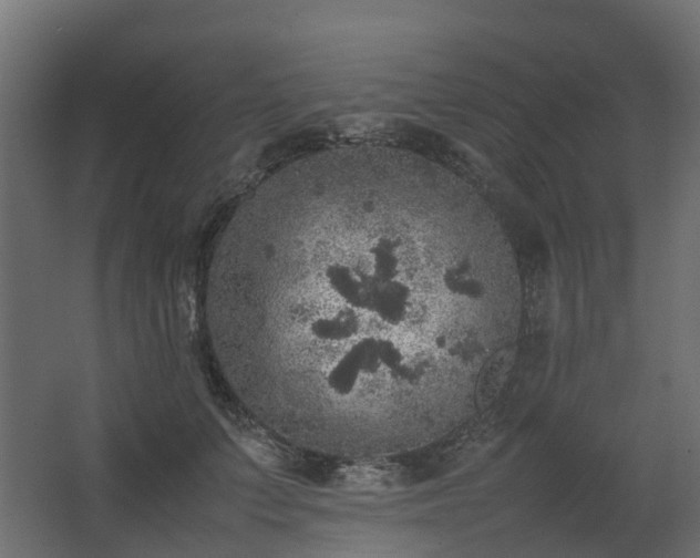 X0000067850703200604201308