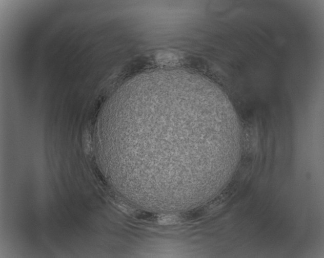 X0000067850705200604201307