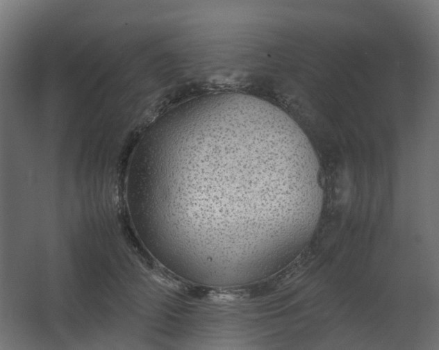 X0000067850706200604201307