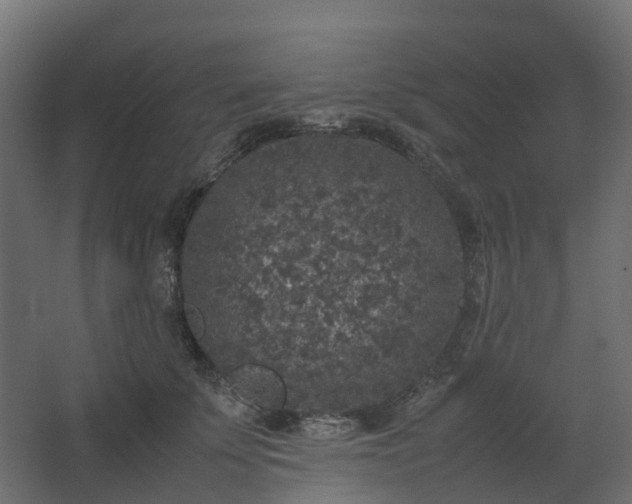 X0000067850707200604201307