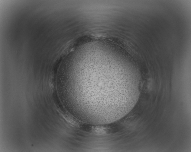 X0000067850710200604201307