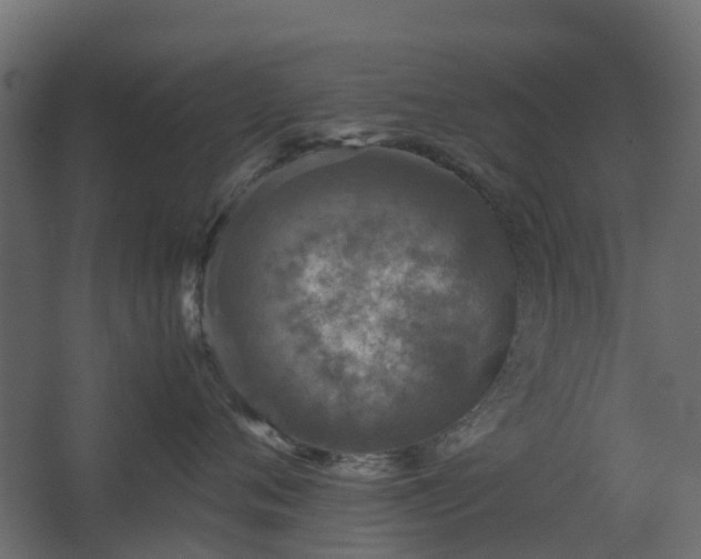 X0000067850720200604201307