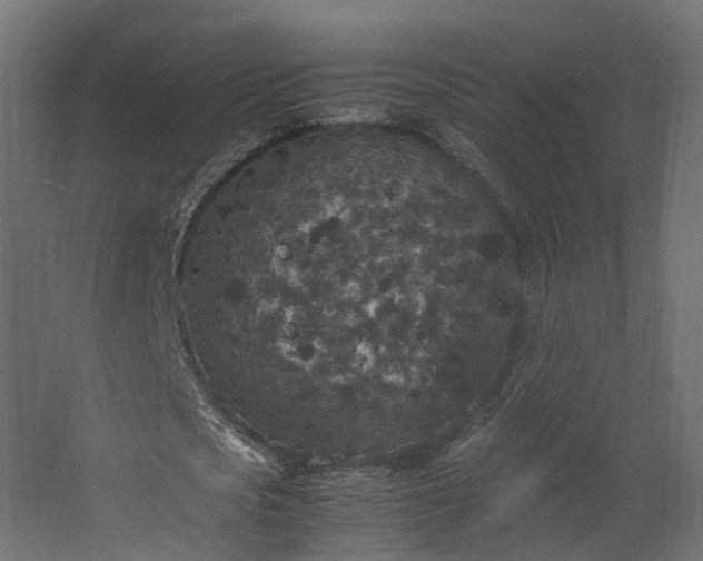 X0000067850721200604201306