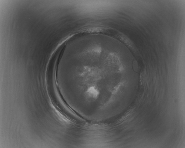 X0000067850722200604201306