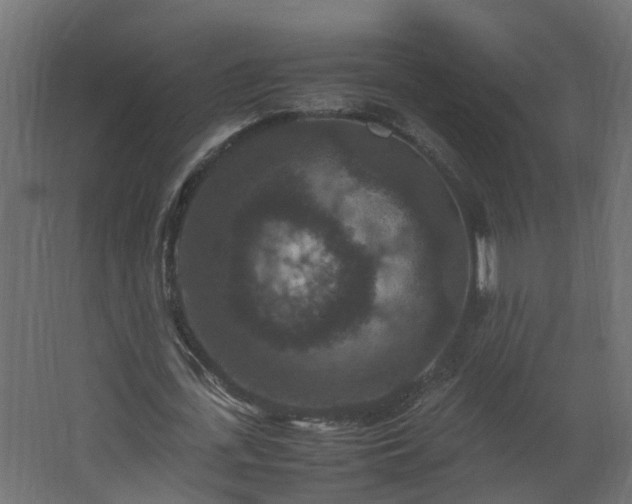 X0000067850723200604201306