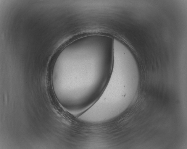 X0000067850724200604201306