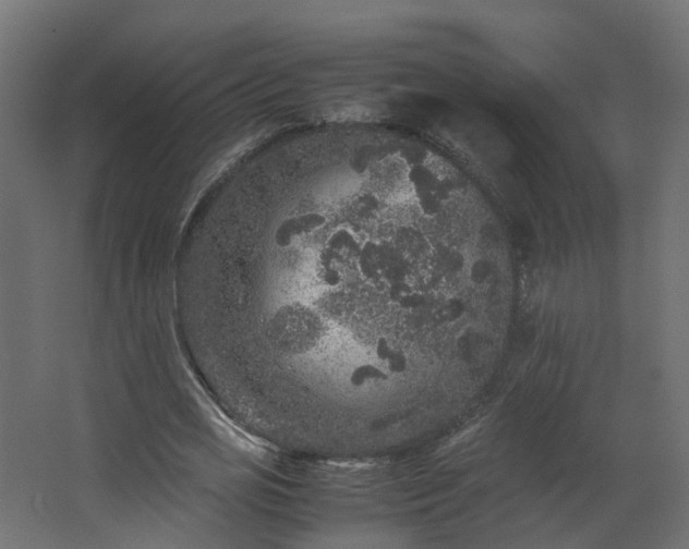 X0000067850725200604201306