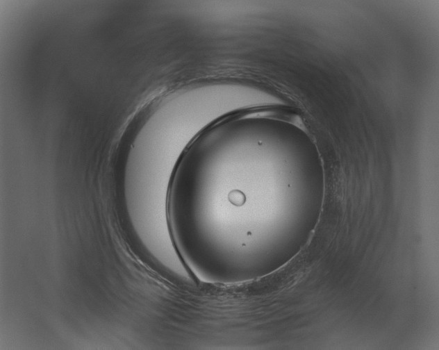 X0000067850731200604201307