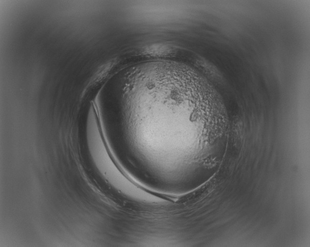 X0000067850734200604201307