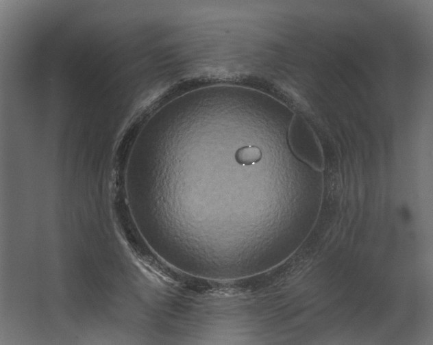 X0000067850736200604201307