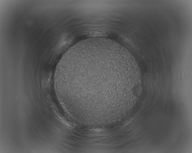 X0000067850741200604201307