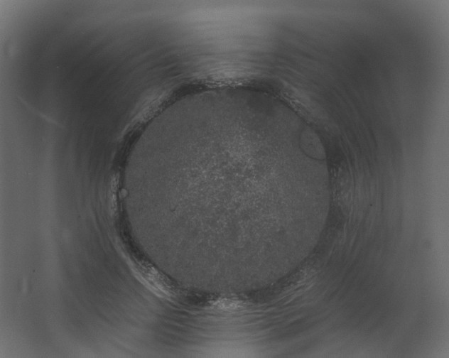 X0000067850742200604201307