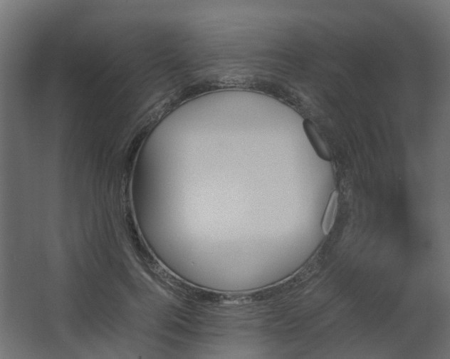 X0000067850744200604201307