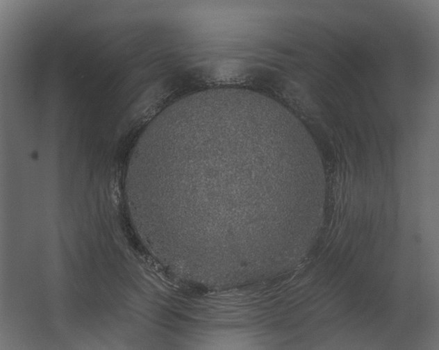 X0000067850746200604201307