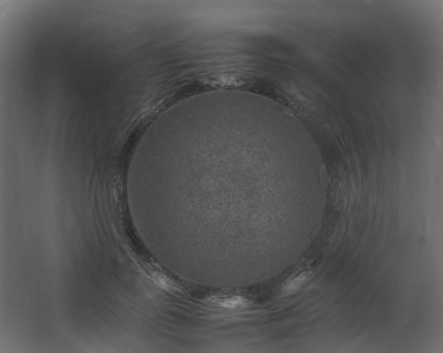 X0000067850747200604201307