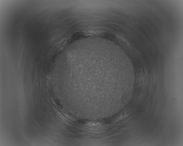 X0000067850749200604201307