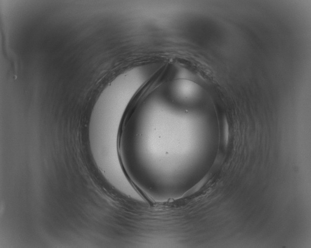 X0000067850750200604201307