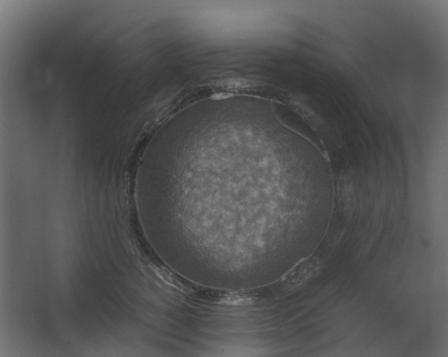 X0000067850760200604201307