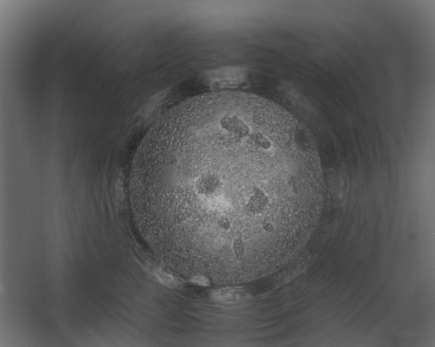 X0000067850761200604201307