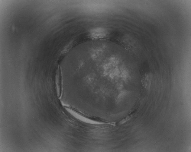 X0000067850763200604201307