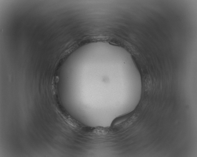 X0000067850764200604201307