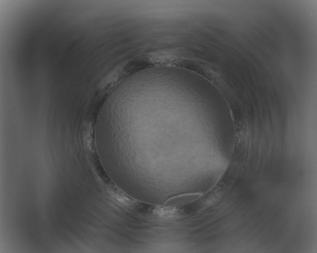 X0000067850767200604201307