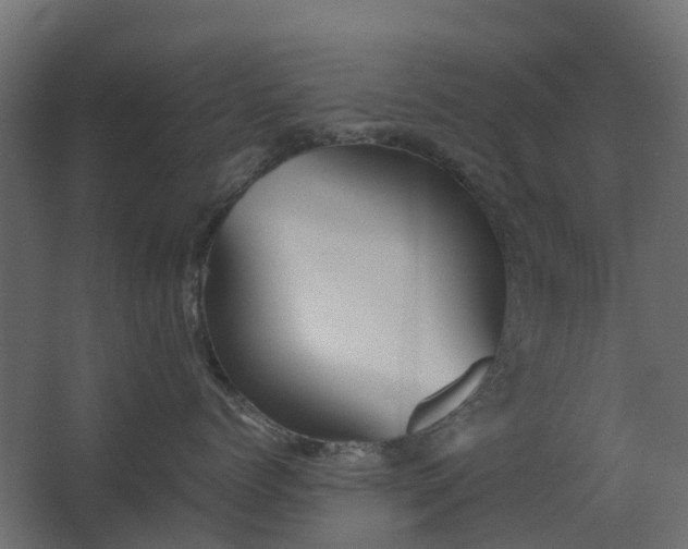 X0000067850768200604201307