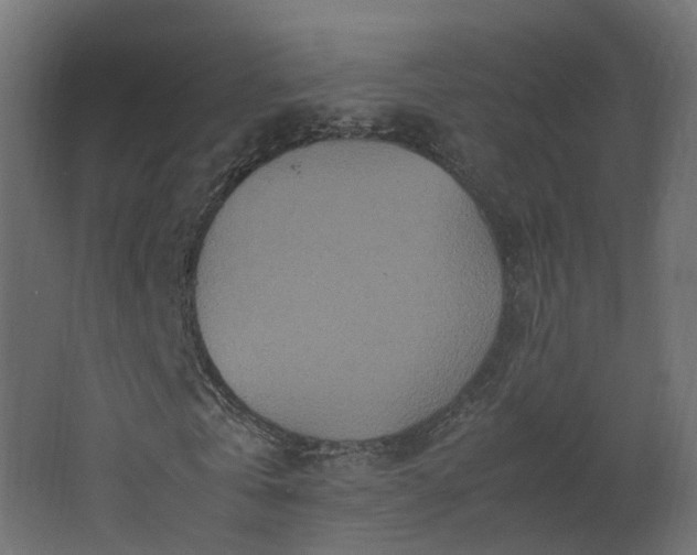 X0000067850769200604201306