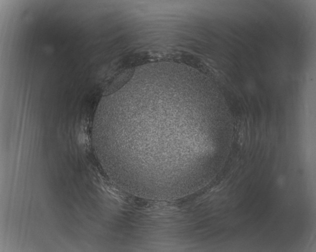 X0000067850770200604201306