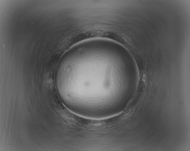 X0000067850771200604201306