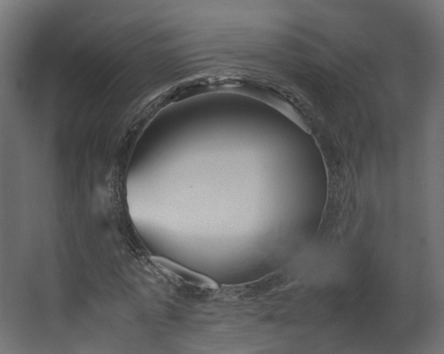 X0000067850773200604201306