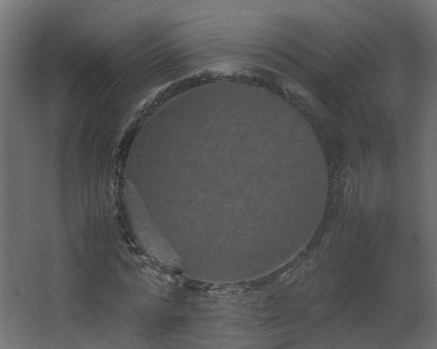 X0000067850776200604201306