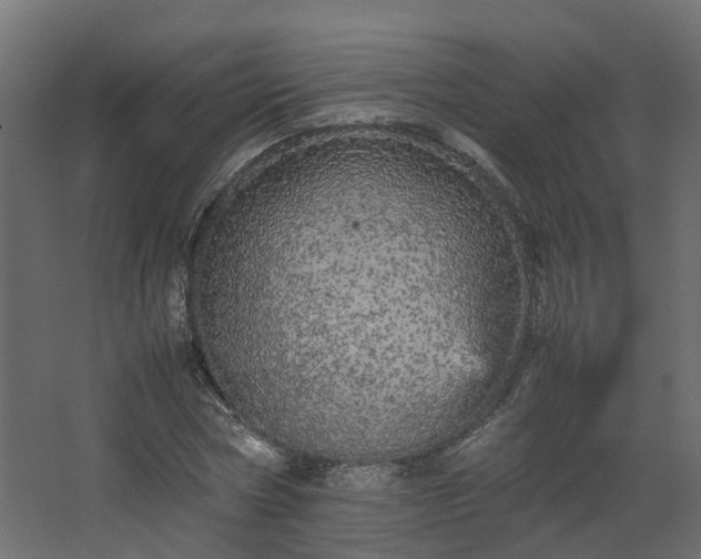 X0000067850778200604201306