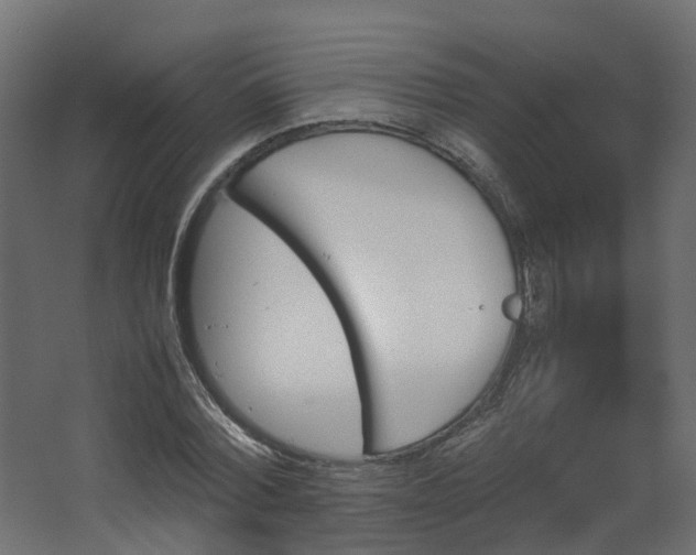 X0000067850780200604201306