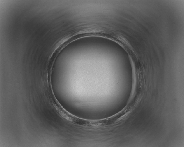 X0000067850781200604201306