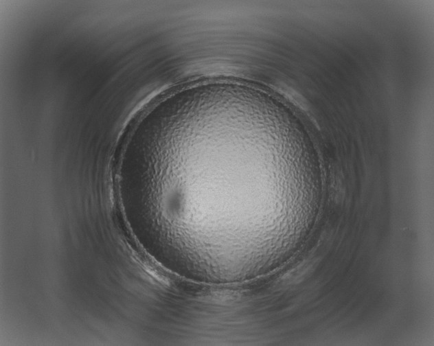 X0000067850782200604201306