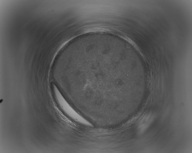 X0000067850783200604201306