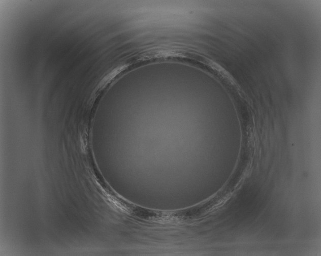 X0000067850785200604201306